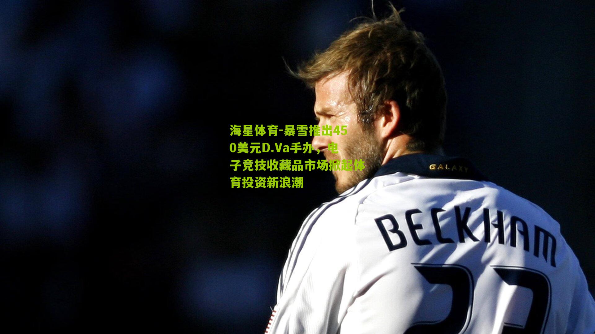 暴雪推出450美元D.Va手办，电子竞技收藏品市场掀起体育投资新浪潮