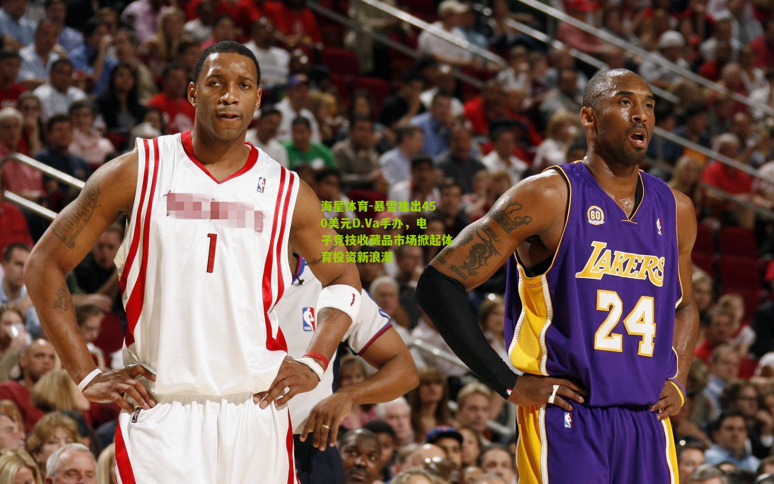 暴雪推出450美元D.Va手办，电子竞技收藏品市场掀起体育投资新浪潮